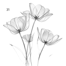 Lade das Bild in den Galerie-Viewer, Erinnerungsbox