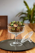 Lade das Bild in den Galerie-Viewer, Dekopäckchen "Potpourri"